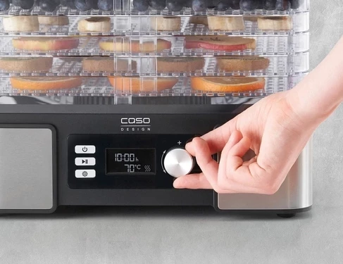 Tharëse ushqimi CASO DH 450 (MPN 3165) 370–450 W, 5 nivele, 30–70°C, timer 0.5–48 h, zi/argjendtë