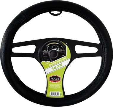 Praxis Mbrojtes i Timonit Saloon