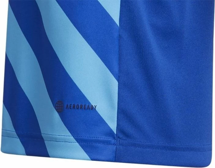 Fanellë për fëmijë adidas Entrada 22 Graphic Jersey, blu [Madhësia: 116 cm]