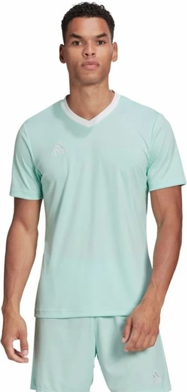 Maicë adidas për meshkuj, e gjelbër [Madhësia: XXL]