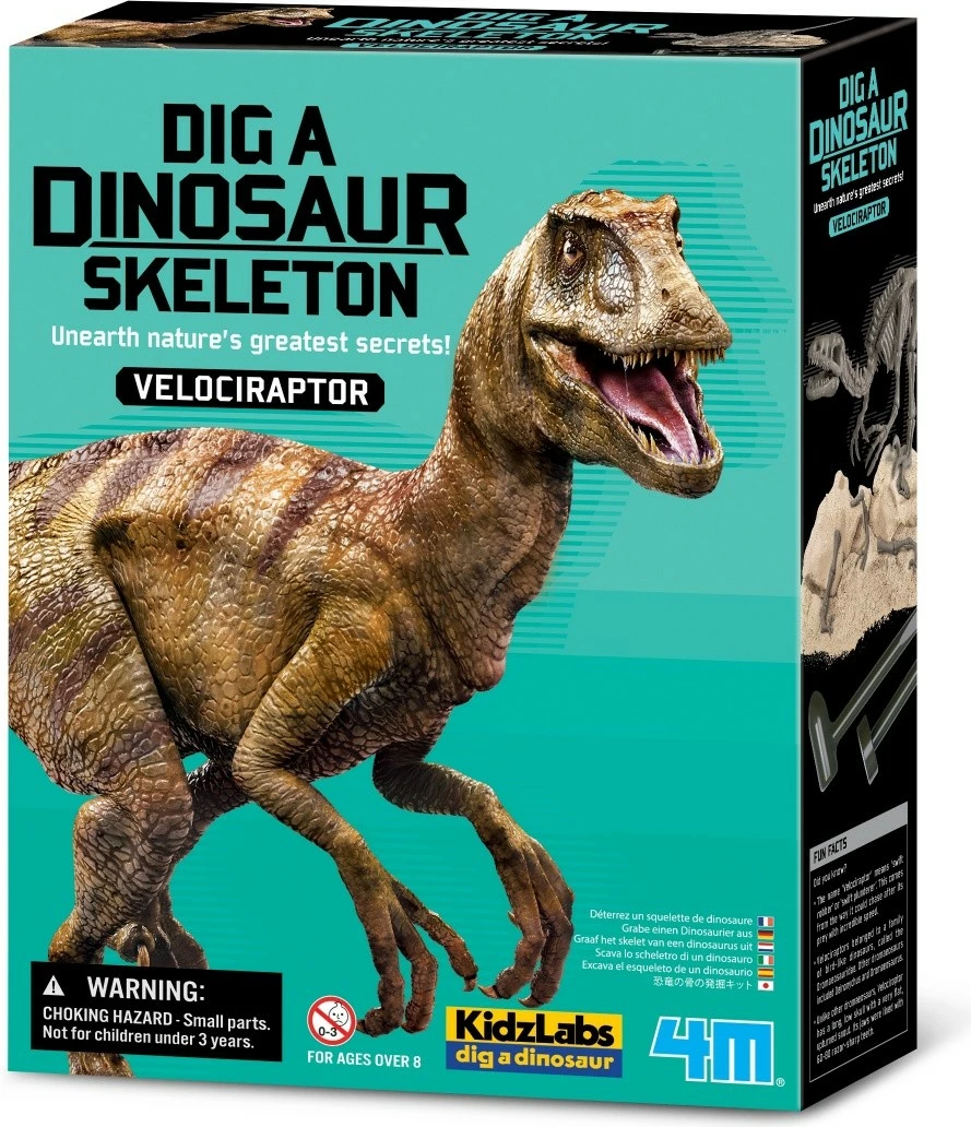 Set edukativ KidzLabs 4M Dig a Dinosaur Skeleton Velociraptor, për fëmijë, 21 cm