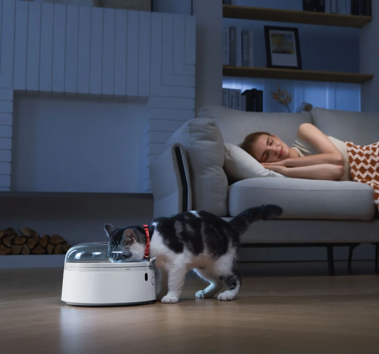 Dispenser smart ushqimi për mace Catlink F03, 400 ml, RFID + njohje fytyre, i bardhë, set me qafore + RFID tag