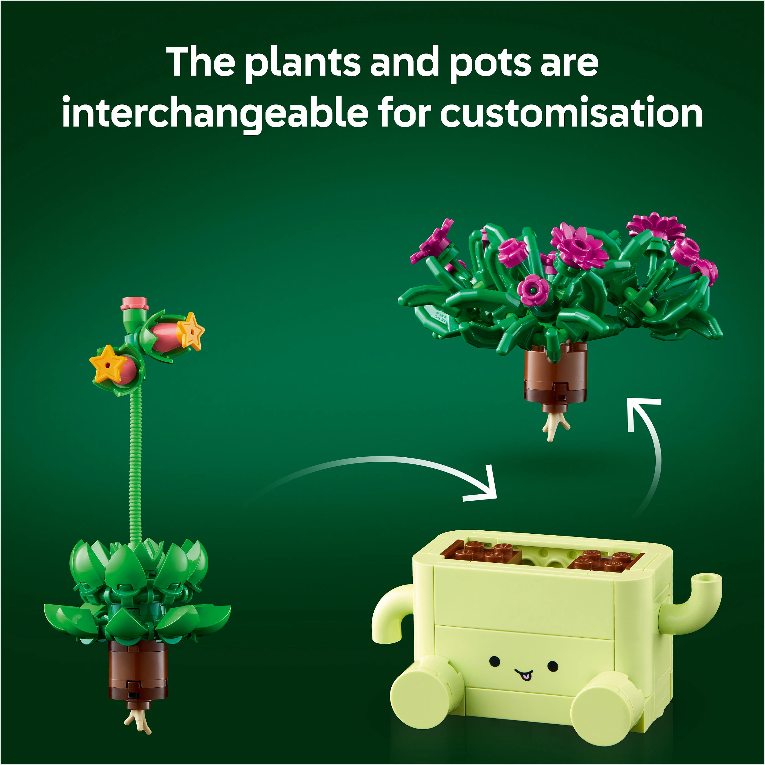 Set LEGO Botanicals Rocking Plants 11506, 253 copë, multikolor