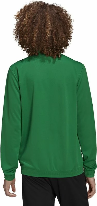 Duks adidas për meshkuj, jeshil