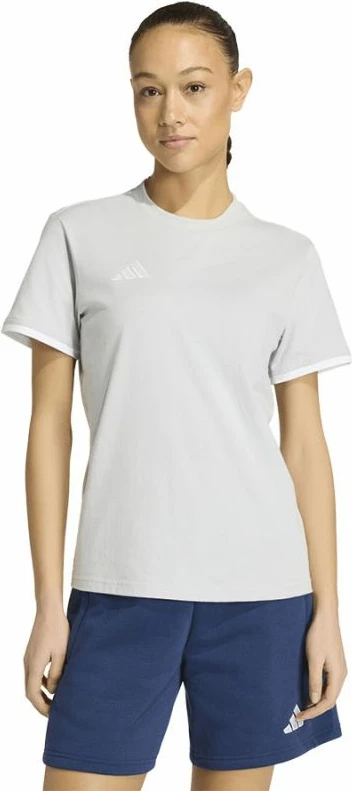 Maicë femra adidas Entrada 26 JZ6680, gri