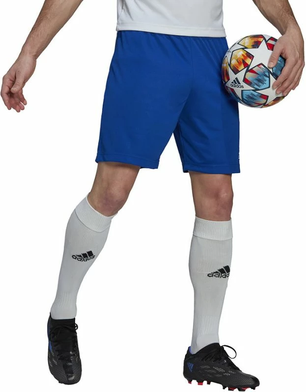 Shorce për meshkuj adidas Entrada 22, blu [Madhësia: XXL]