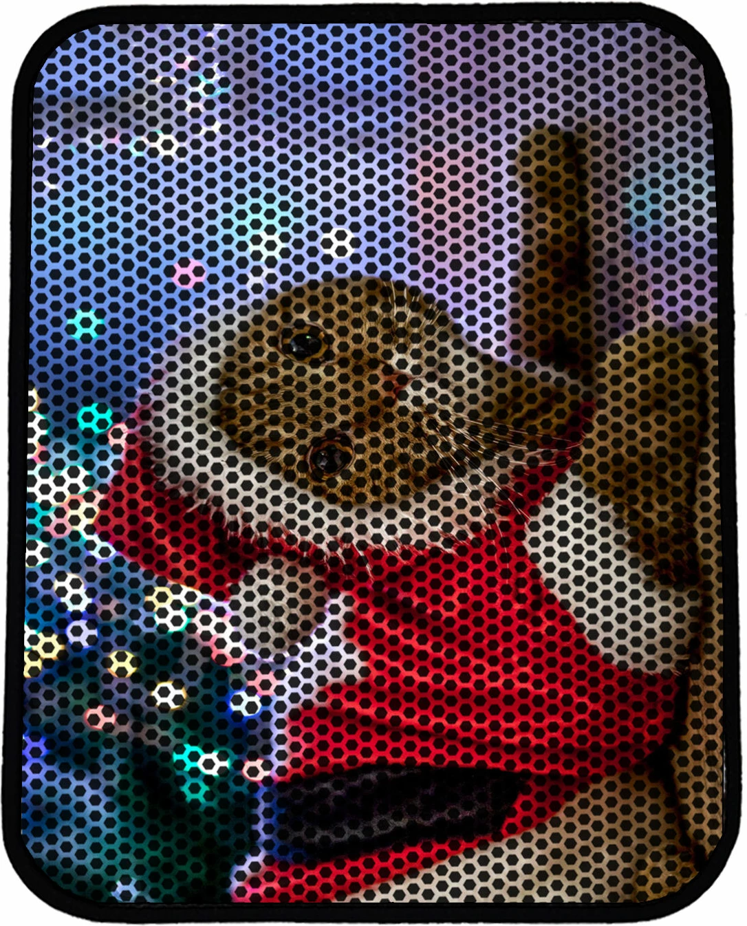 Tapet për rërë mace, shumëngjyrësh, Paws & Whiskers, Nrszn0175, 45x60cm