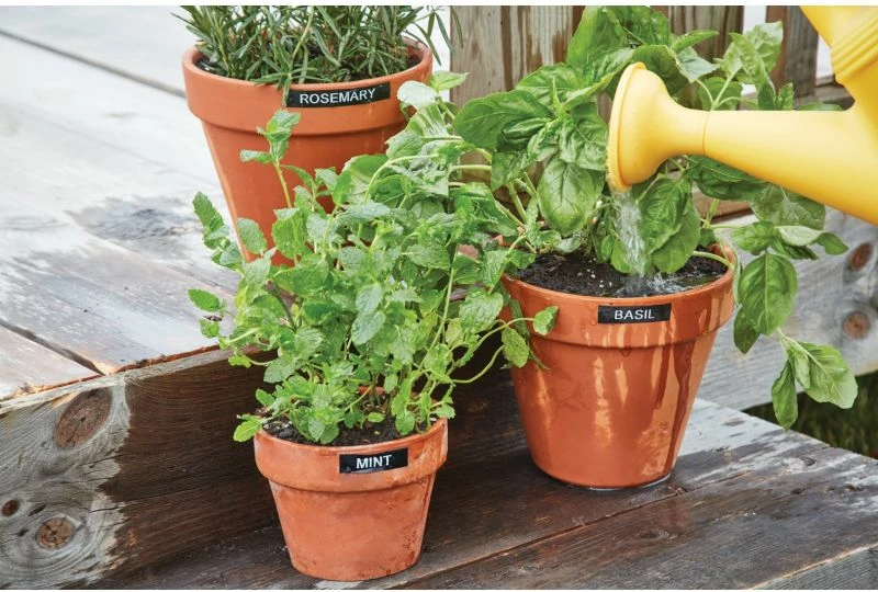 Printer etiketa DYMO, pa dallim gjinie, zi