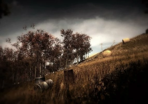 Slender: The Arrival EN Global