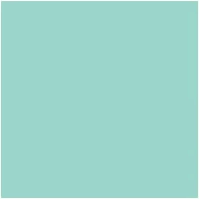 Flip-Flops për femra Puma, të kaltra