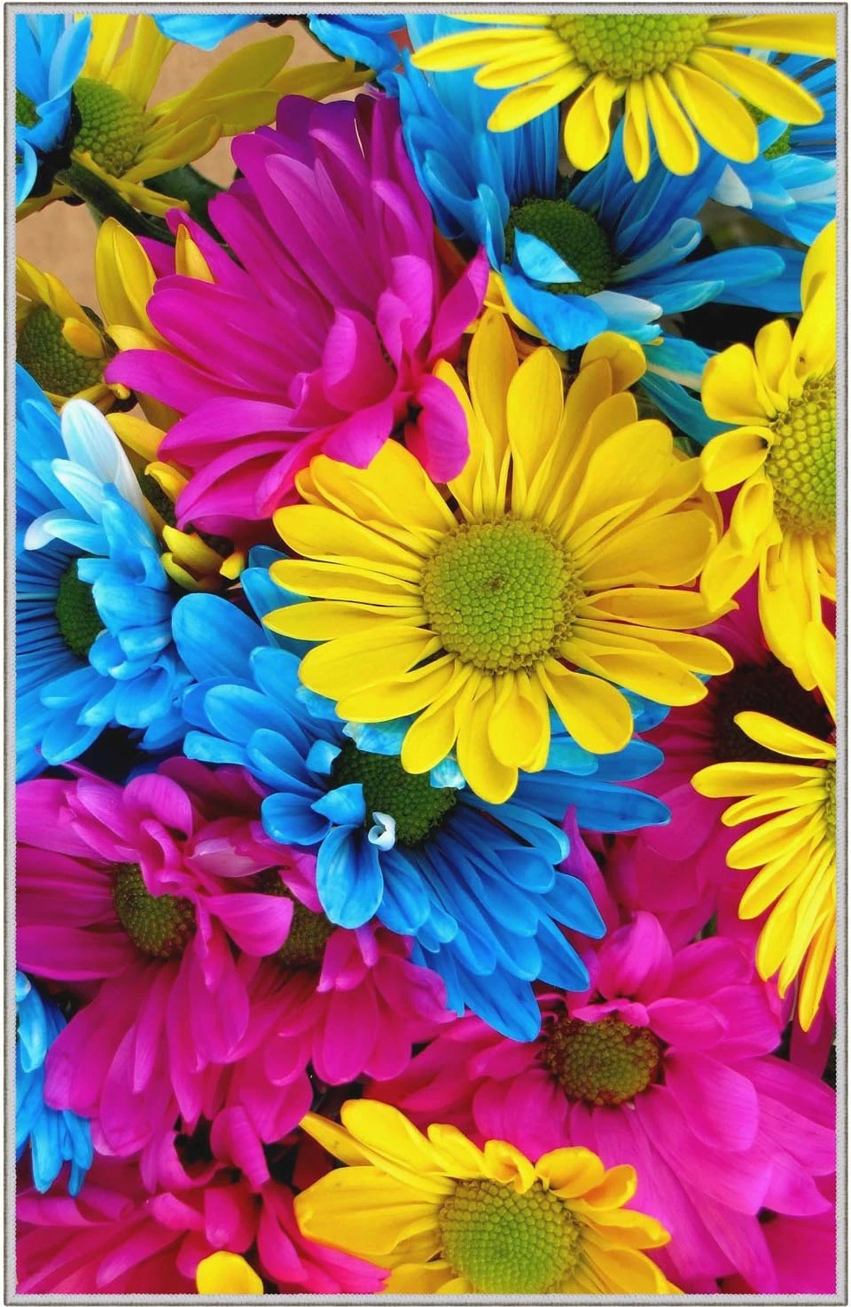 Qilim korridori, shumëngjyrësh, Conceptum Hypnose, HMNT505, 100x200cm