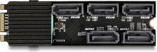 Konverter DeLOCK M.2 2280 Key B+M në 5x SATA III 6Gb/s, me ftohës pasiv, i zi