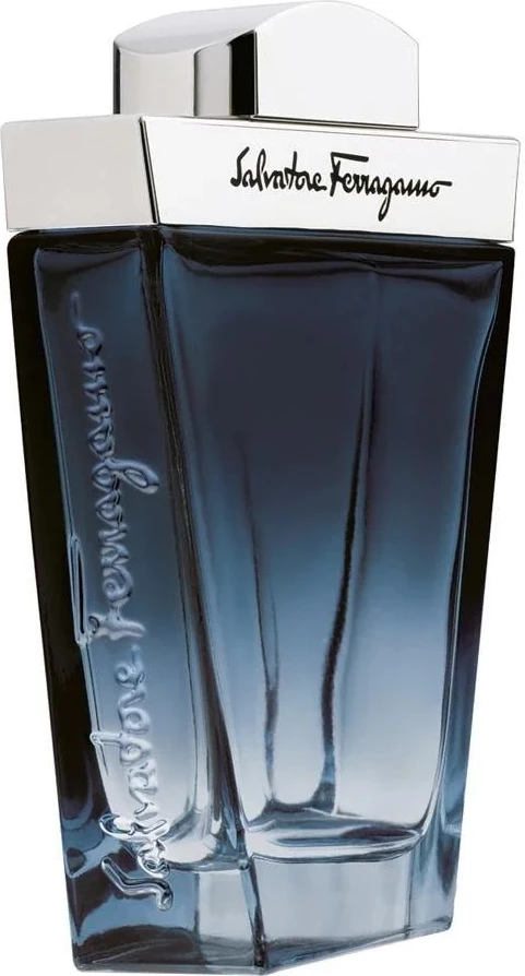 Eau de Toilette për meshkuj Salvatore Ferragamo Subtil Pour Homme 100ml
