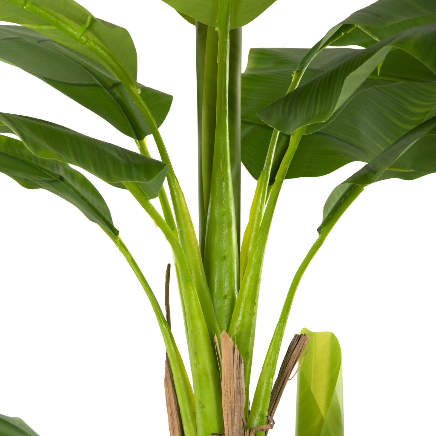 Bimë sintetike dekorative, pemë banane, FH7978, 200H cm