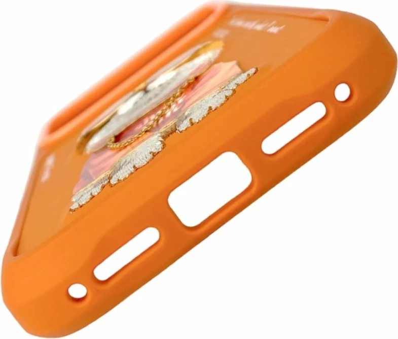 Kover iPhone Nimmy Glasses Cool Cat 17 Pro, portokalli