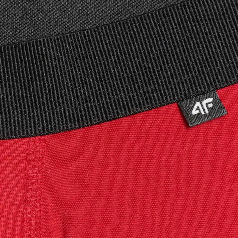 Të brendshme për meshkuj 4F, multicolor