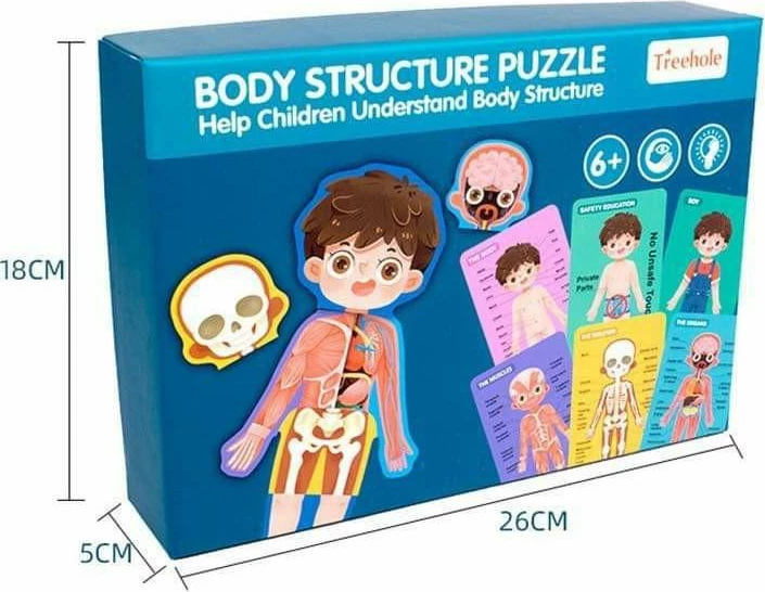 Puzzle Struktura trupore PSTD, djalë