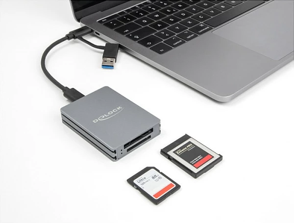 Lexues kartelash DeLOCK USB-C për SD dhe CFexpress Type B, 10 Gbit/s, i hirtë