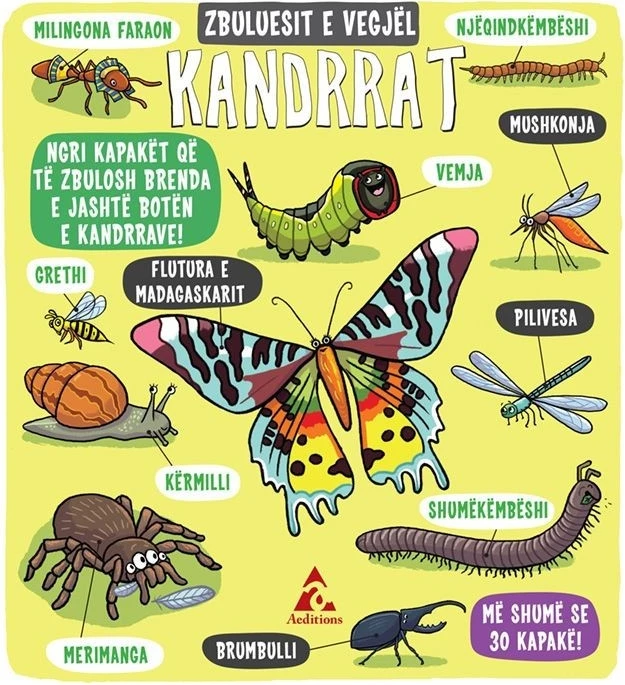 Zbuluesit e Vegjël – Kandrrat