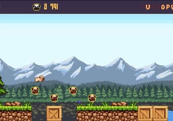 Turbo Pug DX EN Global