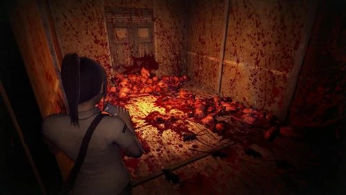 Lojë PS5 Soft Source DreadOut Remastered Collection, horror, PEGI 16