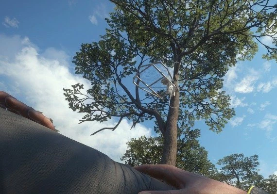 theHunter: Call of the Wild - Treestand & Tripod Pack DLC Global