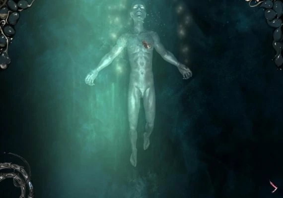 The Void EN Global