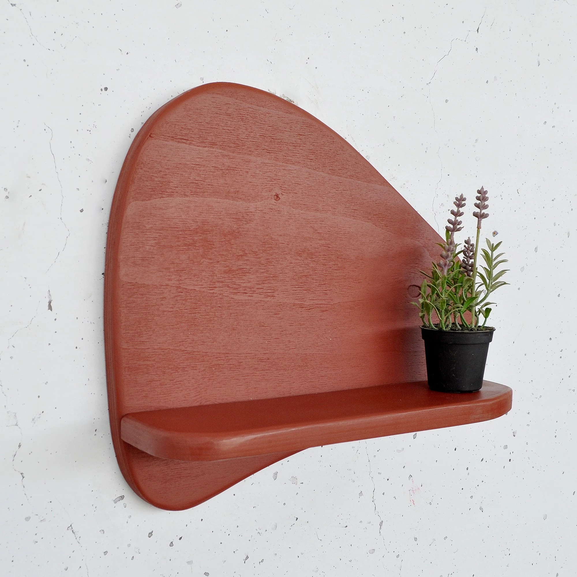 Raft dekorativ muri, dru i kuq, Skye Decor, Meh221, 35x32x11cm