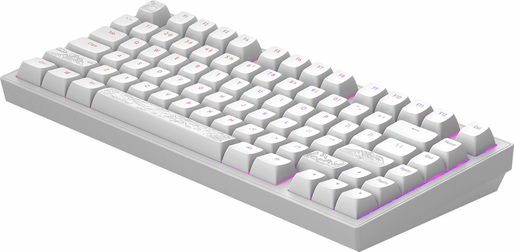 Tastierë mekanike gaming Dark Project ALU81A Terra Nostra, 80% TKL ANSI US, Hot-Swap, RGB, G3Ms Moonstone, USB me kabllo, e bardhë 2