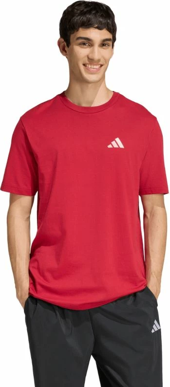 Maicë meshkuj adidas Outdoor Mountain Biking Graphic KB2538, e kuqe