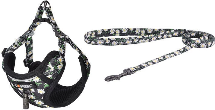 Set për shëtitje për qen Dogness DOG SET DAISY, rrip 1.5m + harness, shumëngjyrësh