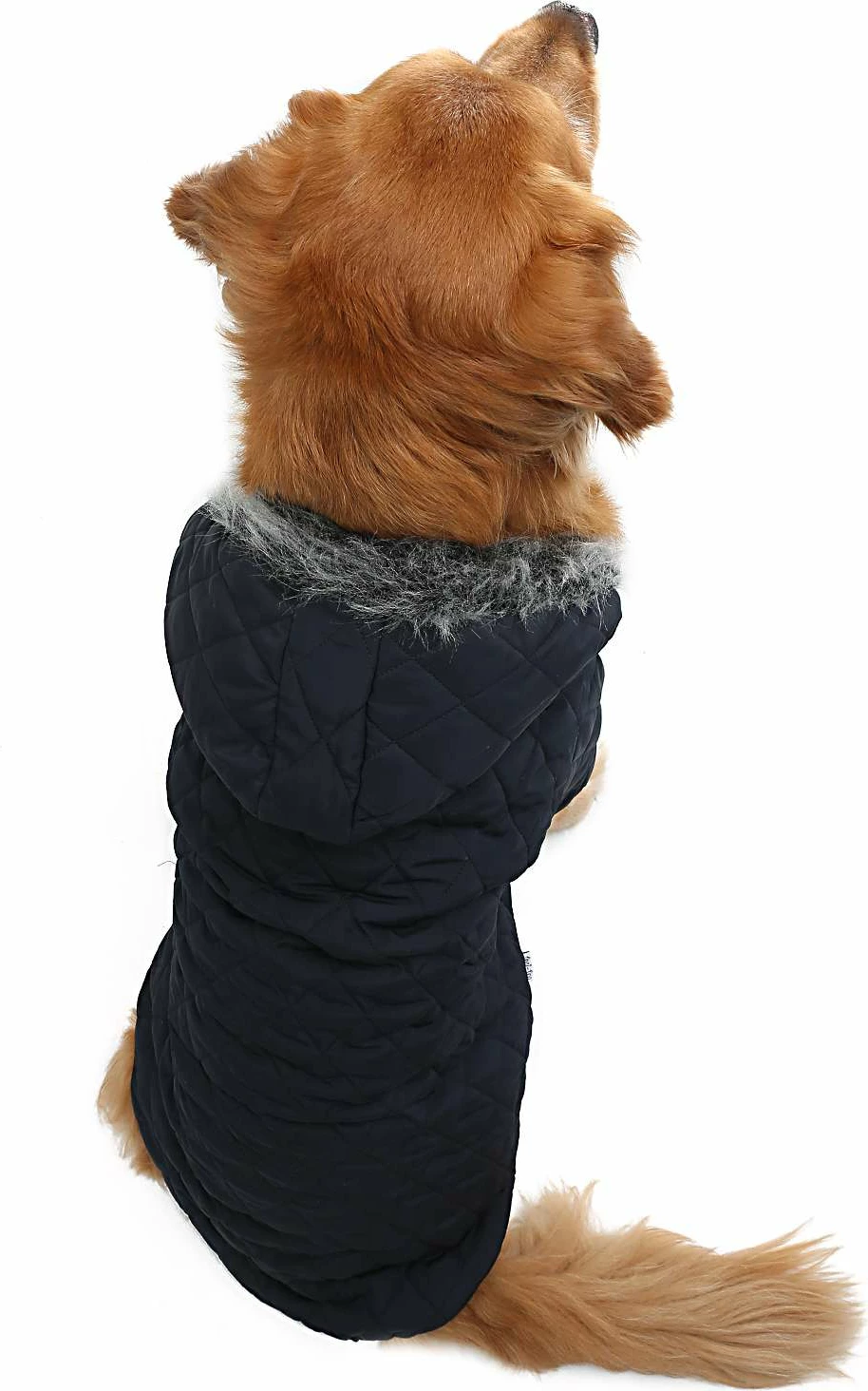 Bluze me kapuç për qen, ngjyrë e kaltër e errët, Paws & Whiskers