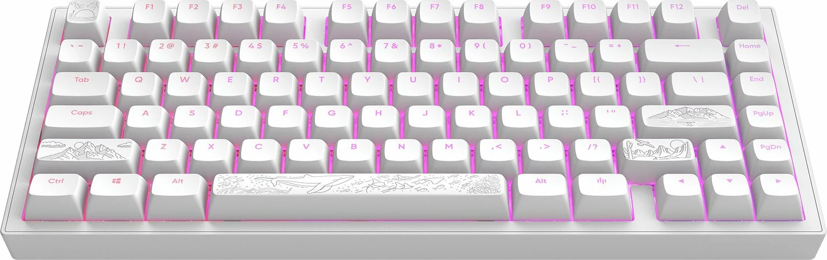 Tastierë mekanike gaming Dark Project ALU81A Terra Nostra, 80% TKL ANSI US, Hot-Swap, RGB, G3Ms Moonstone, USB me kabllo, e bardhë 7