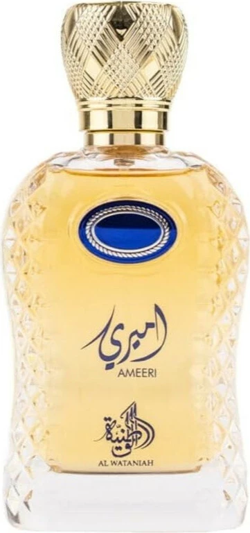 Eau de Parfum për meshkuj Al Wataniah Ameeri 100ml