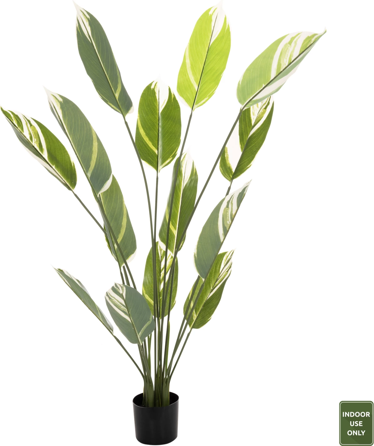 Bimë sintetike dekorative në vazo, FH7997, Calathea, 140Hcm