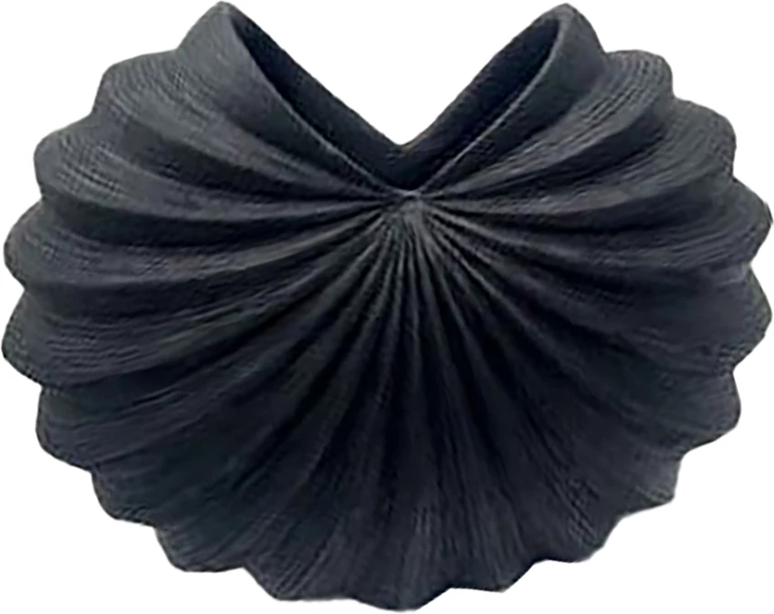 Vazo dekorative Gallina Noir, polirezine, ngjyrë e zezë mat, 9.5x9.5x19.8cm