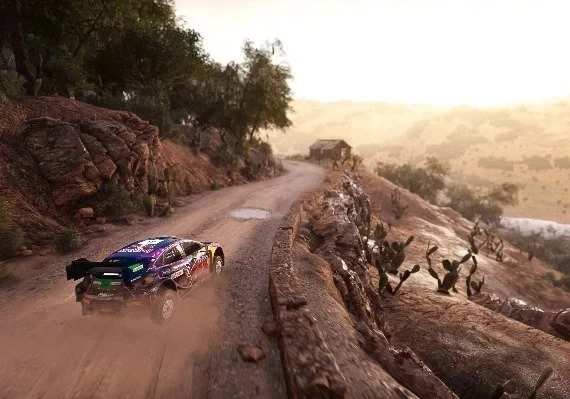 WRC: Generations - Livery Editor Extra Items DLC Global