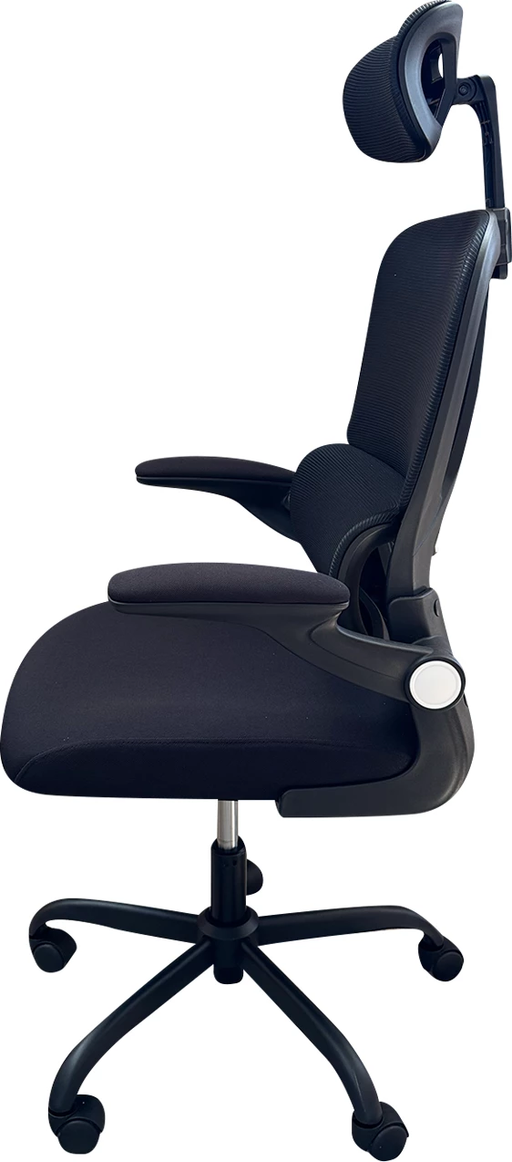 Karrige për zyre Tribe