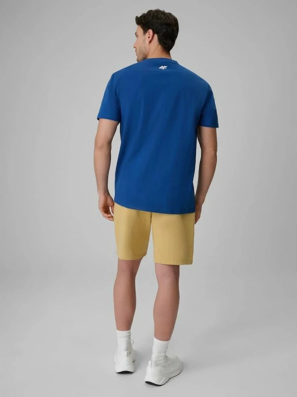 Shorce për meshkuj 4F 4FRSS26TSHOM0930-83S [Madhësia: XXL]