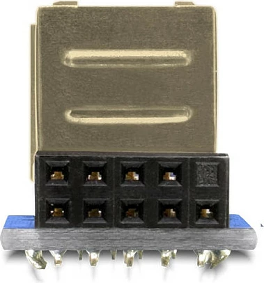 Adapter DeLOCK 9-pin 2.54mm në 2x USB 2.0-A, i brendshëm, zezë/blu/argjend