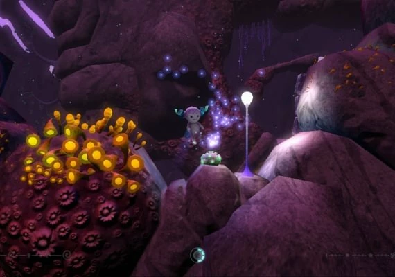 The UnderGarden EN/DE/FR Global
