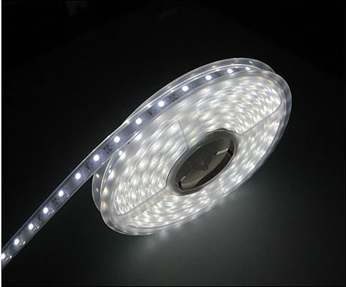 Shirit LED Synergy21 S21-LED-F00141, 5m, 12V, IP65, 24W, 300 LED, 6500K, bardhë e ftohtë