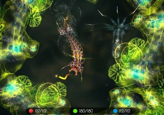 The Sparkle Bundle EN Global