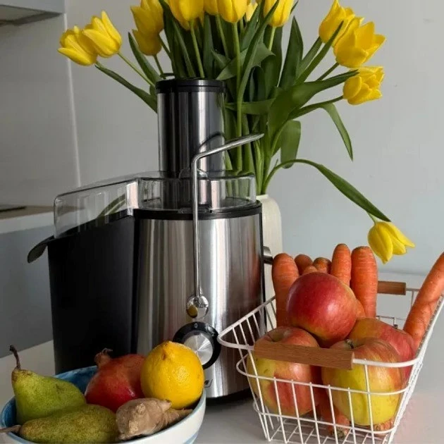 Shtrydhëse frutash MPM MSO-18M, 1000 W, Inoks, E zezë