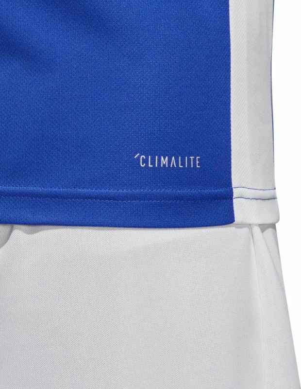 Fanellë futbolli për meshkuj dhe fëmijë adidas Entrada 18, blu [Madhësia: XL]