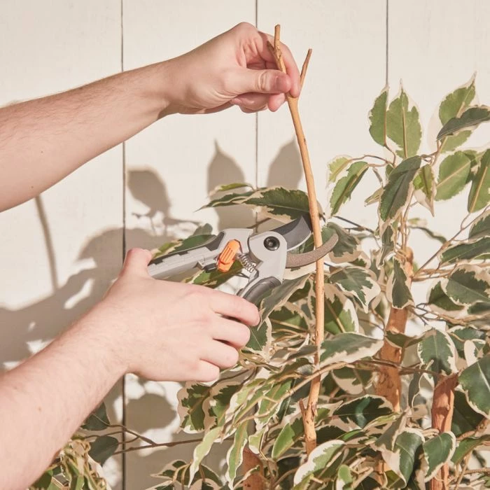 Set krasitjeje VonHaus 3500237, 3 copë, portokalli/zi