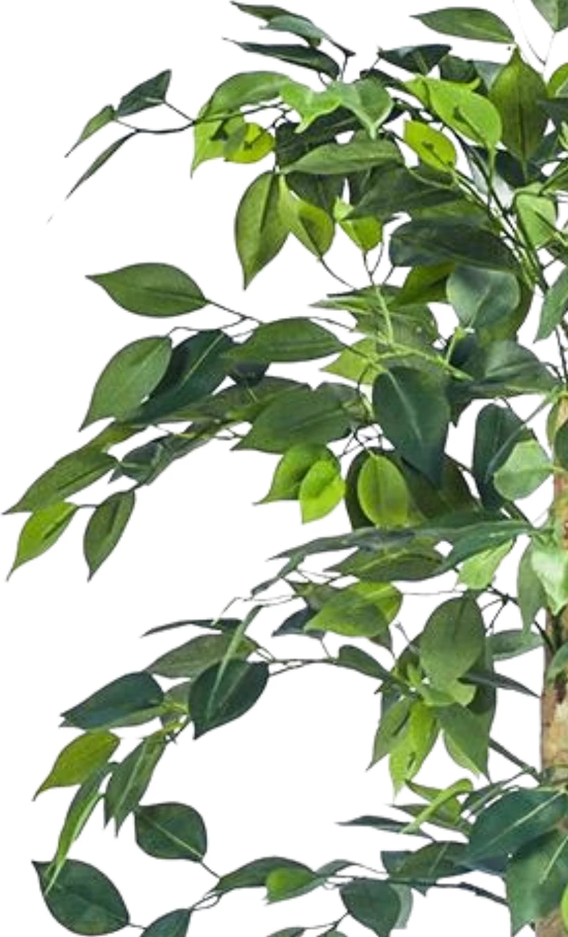 Bimë artificiale Ficus Tree, 120 cm