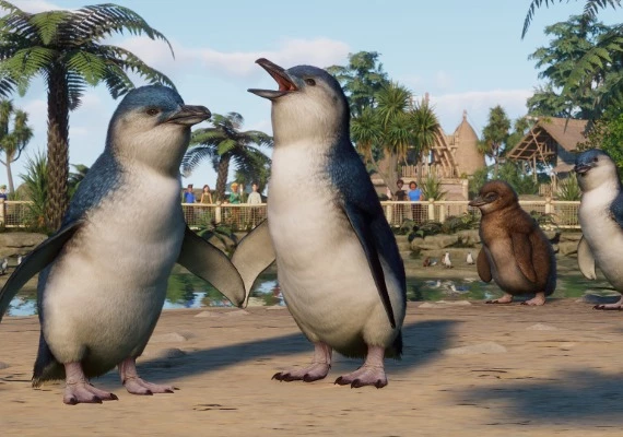 Planet Zoo - Oceania Pack DLC Global