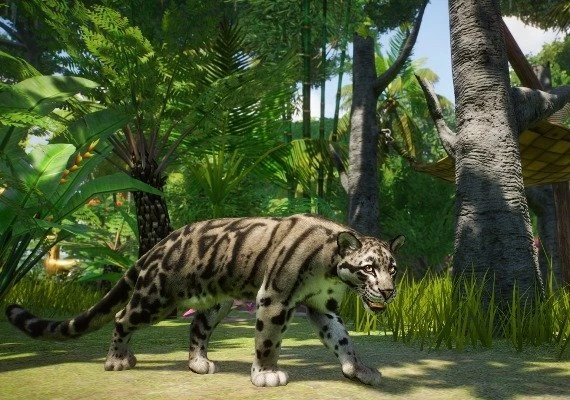 Planet Zoo - Southeast Asia Animal Pack DLC Global
