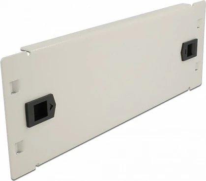 Panel i verbër DeLOCK 10" 2U, montim pa mjete, metal, gri